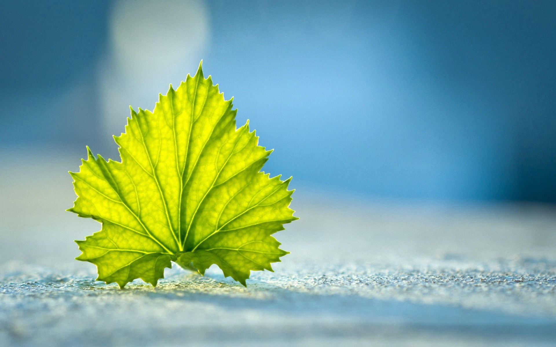 Unity Package Managerc常用包汇总