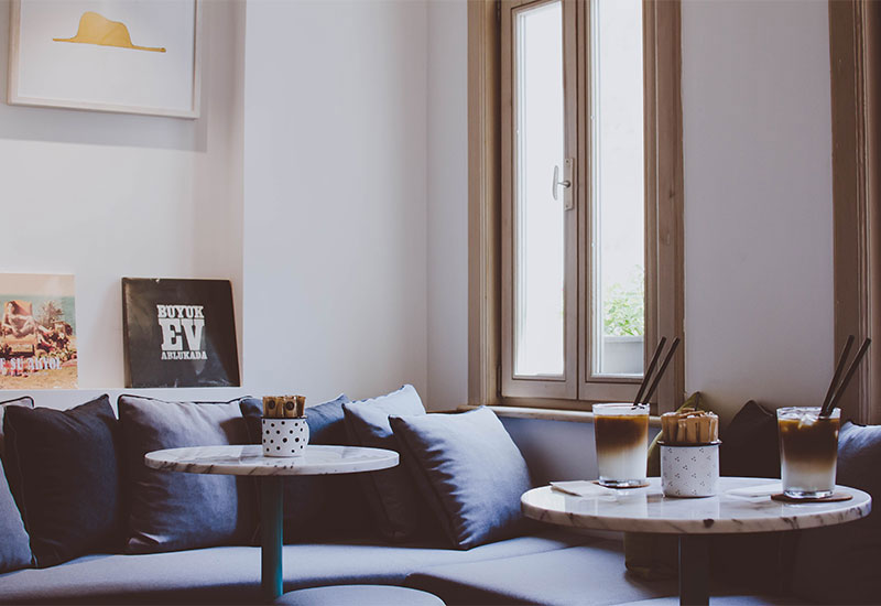 活了100万年的猫