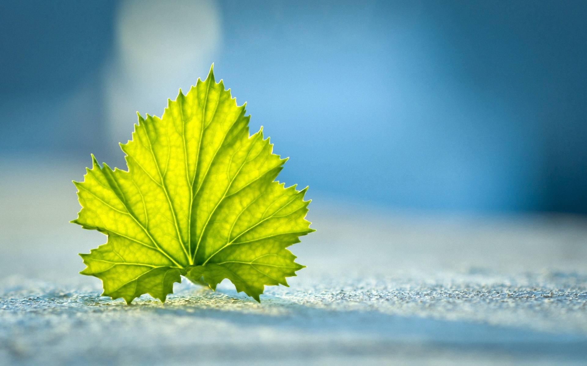 Unity ECS环境搭建